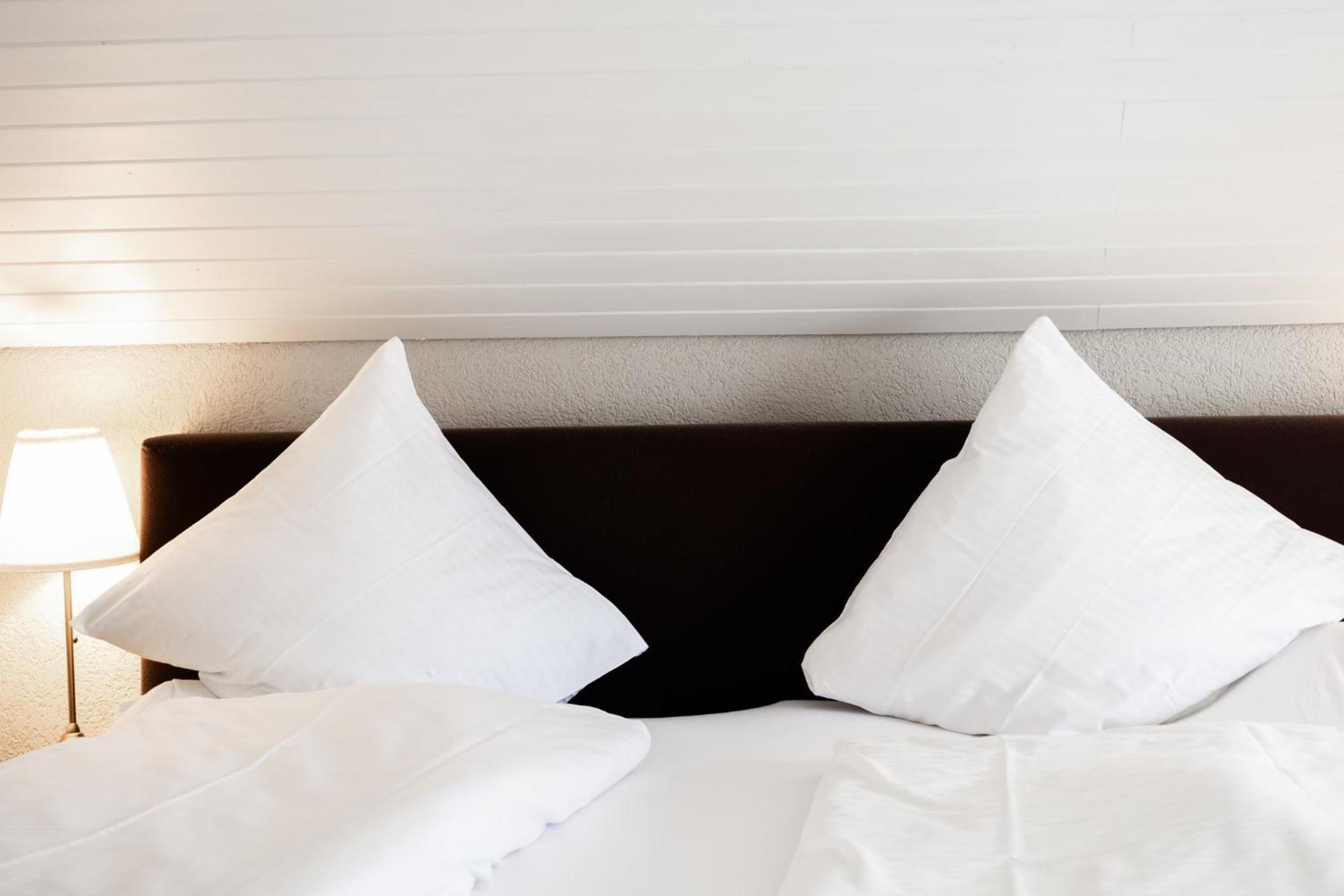 Hotel Drei Koenige 3*